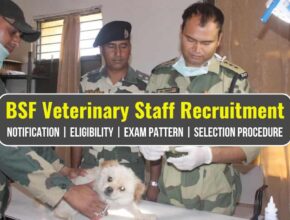 BSF Veterinary Staff Recruitment
