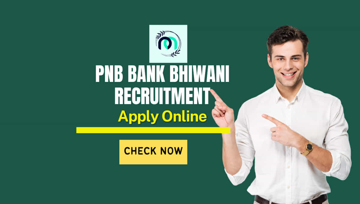 PNB Bank Bhiwani Recruitment