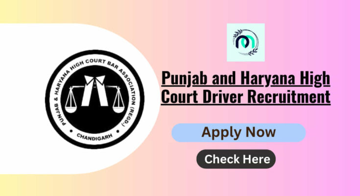 Punjab and Haryana High Court Driver